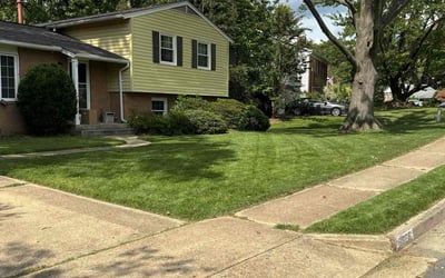 Photo of Joshua M.'s yard after getting lawn care in Burke, VA