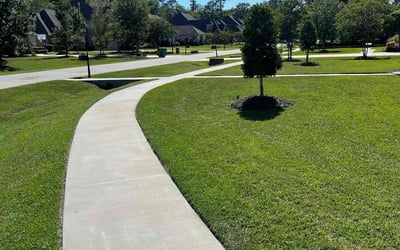 Photo of Angel C.'s yard after getting lawn care in Covington, LA