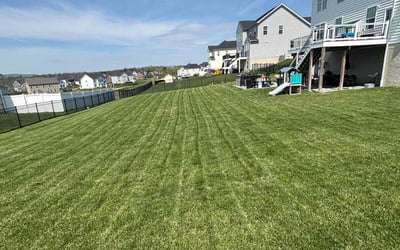 Photo of Kerrie M.'s yard after getting lawn care in Phoenixville, PA