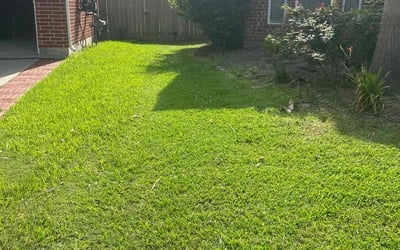 Photo of Deborah L.'s yard after getting lawn care in Shreveport, LA