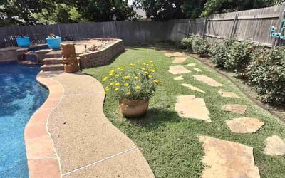 Photo of David N.'s yard after getting lawn care in Westwood, MA