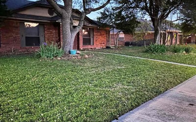 Photo of Crystal M.'s yard after getting lawn care in Springfield Gardens, NY