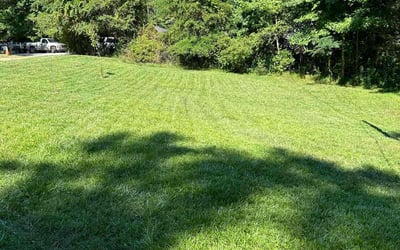 Photo of Patty m.'s yard after getting lawn care in Temple, GA