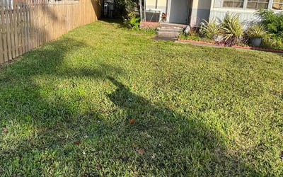 Photo of Troy D.'s yard after getting lawn care in Derby, CT