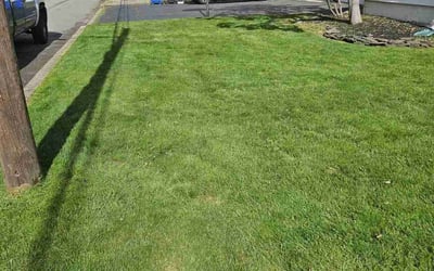 Photo of Pamela H.'s yard after getting lawn care in Colonia, NJ