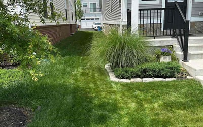 Photo of Melissa F.'s yard after getting lawn care in Snohomish, WA