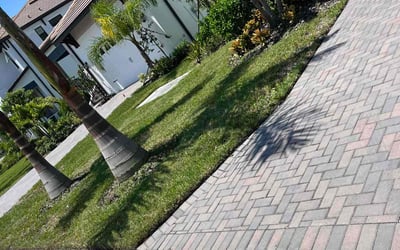 Photo of Patricia E.'s yard after getting lawn care in Ruskin, FL