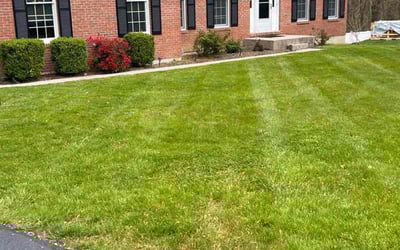 Photo of Matthew M.'s yard after getting lawn care in Shrewsbury, MA