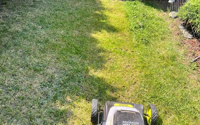 Photo of Teresa G.'s yard after getting lawn care in Elmont, NY