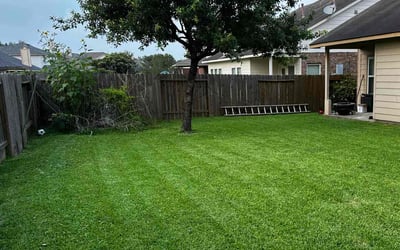 Photo of Mike B.'s yard after getting lawn care in Perth Amboy, NJ