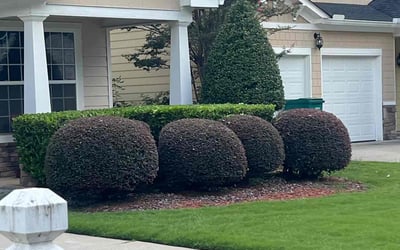 Photo of Ansley A.'s yard after getting lawn care in Mableton, GA