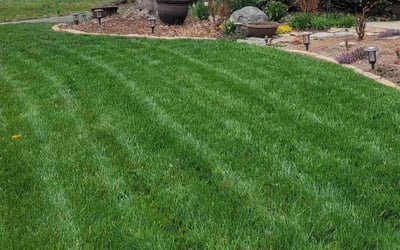 Photo of Savannah D.'s yard after getting lawn care in Oneonta, AL