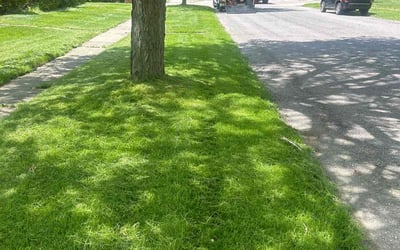 Photo of John B.'s yard after getting lawn care in Swartz Creek, MI