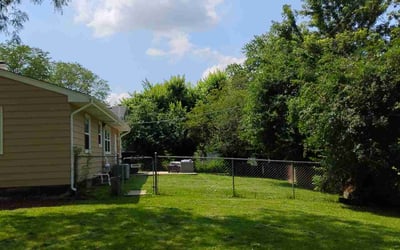 Photo of James R.'s yard after getting lawn care in Des Plaines, IL