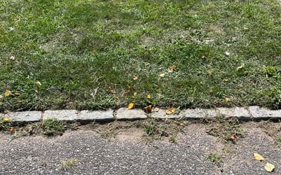 Photo of Pat Z.'s yard after getting lawn care in Bay Shore, NY