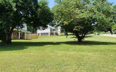 Photo of Lewis P.'s yard after getting lawn care in Corryton, TN