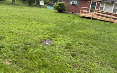 Photo of Rena B.'s yard after getting lawn care in Holt, MI