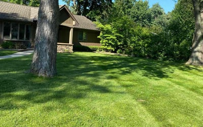 Photo of Michelle T.'s yard after getting lawn care in Clinton Township, MI