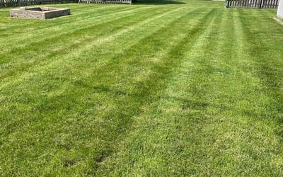 Photo of Tom S.'s yard after getting lawn care in Aurora, IL