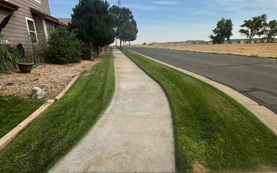 Photo of Randy G.'s yard after getting lawn care in Purcellville, VA