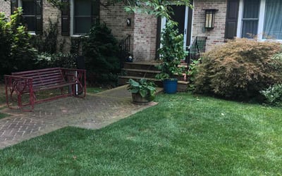 Photo of Joni L.'s yard after getting lawn care in Front Royal, VA