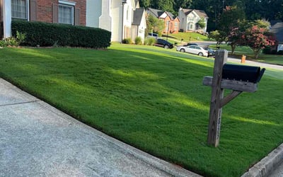Photo of Rhonda J.'s yard after getting lawn care in Akron, OH