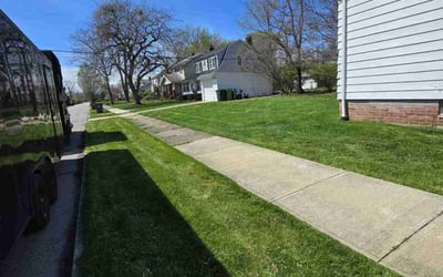 Photo of Jonathan C.'s yard after getting lawn care in Euclid, OH
