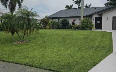 Photo of Betty J.'s yard after getting lawn care in Cape Coral, FL