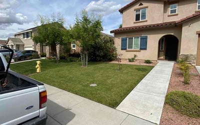 Photo of Shawn M.'s yard after getting lawn care in Roseville, CA