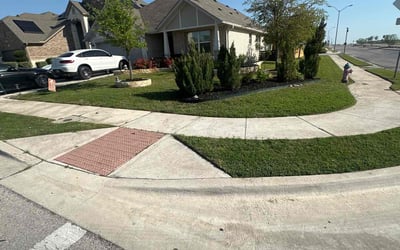 Photo of Lizabeth L.'s yard after getting lawn care in Pflugerville, TX