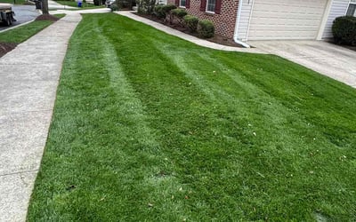 Photo of Holly G.'s yard after getting lawn care in Germantown, MD