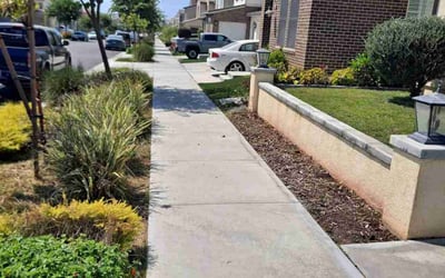 Photo of Kimberly R.'s yard after getting lawn care in Chula Vista, CA