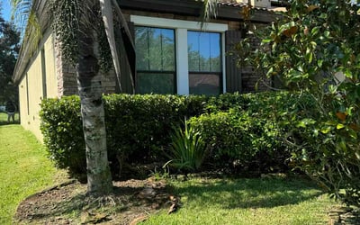 Photo of Geoff W.'s yard after getting lawn care in Casa Grande, AZ