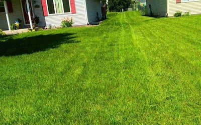 Photo of Kelvin M.'s yard after getting lawn care in Janesville, WI