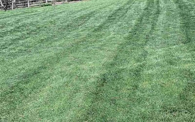 Photo of Linda J.'s yard after getting lawn care in Batavia, IL