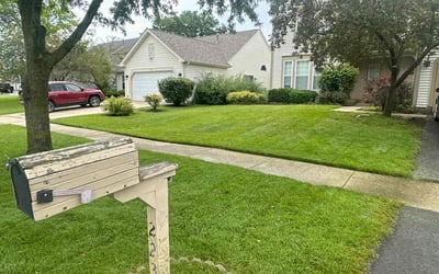Photo of Dori W.'s yard after getting lawn care in Wauconda, IL