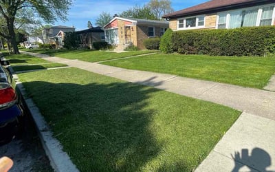 Photo of brett s.'s yard after getting lawn care in Skokie, IL