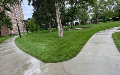Photo of Randy M.'s yard after getting lawn care in Dover, NH