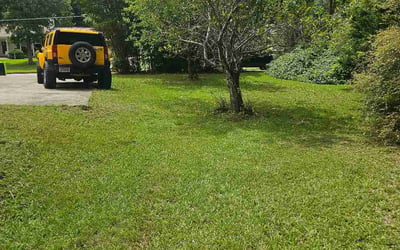 Photo of Heather L.'s yard after getting lawn care in Lebanon, TN