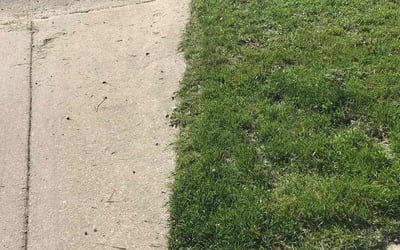 Photo of Cheryl C.'s yard after getting lawn care in Oshkosh, WI