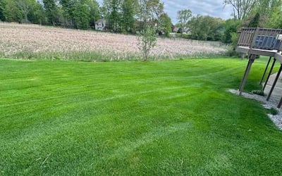 Photo of Ryan F.'s yard after getting lawn care in South Lyon, MI