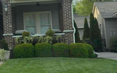 Photo of Mark B.'s yard after getting lawn care in Huntsville, AL