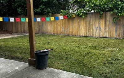 Photo of Brianna F.'s yard after getting lawn care in Franklinton, NC