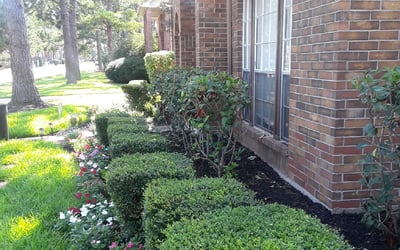 Photo of Howard T.'s yard after getting lawn care in Marion, AR