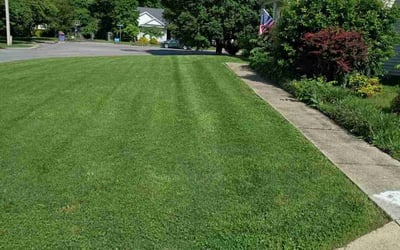 Photo of Adaja W.'s yard after getting lawn care in Shreveport, LA