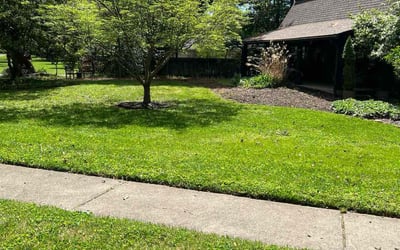 Photo of Ashley C.'s yard after getting lawn care in North Port, FL