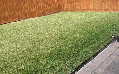 Photo of Shon H.'s yard after getting lawn care in Homestead, FL
