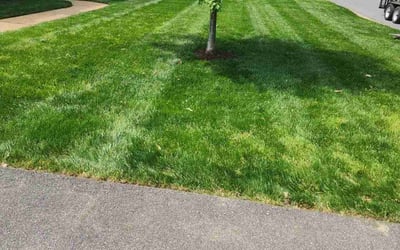 Photo of Nikki T.'s yard after getting lawn care in Quinton, VA