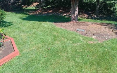 Photo of Watrell M.'s yard after getting lawn care in Ashburn, VA