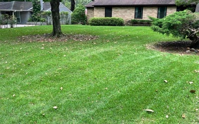Photo of Kathryn R.'s yard after getting lawn care in Mount Dora, FL